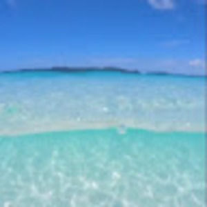 Meet your Posher, Linds